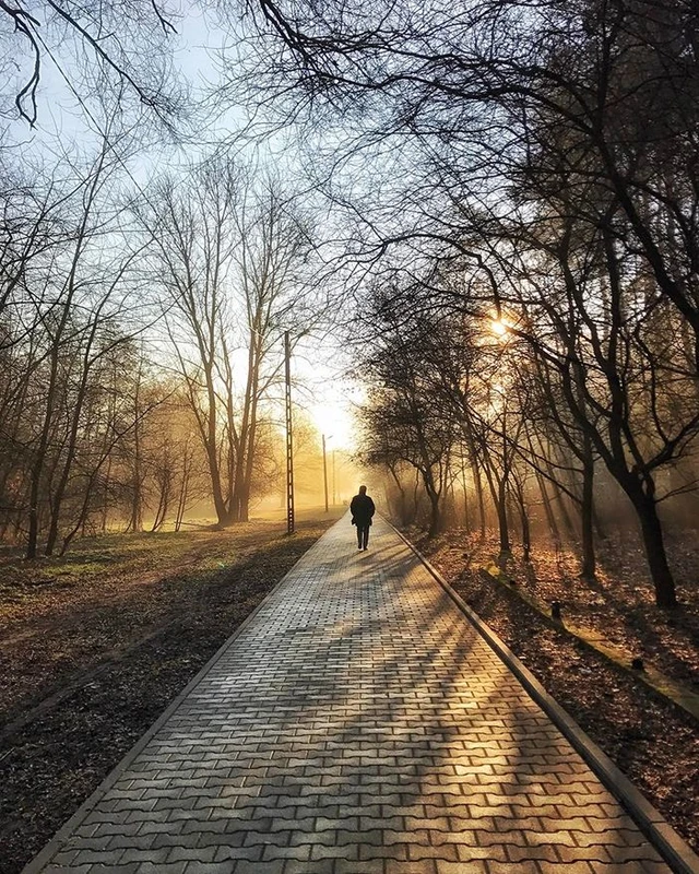 faq - How to Use Leading Lines in Smartphone Photos for Better Shots