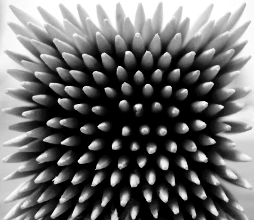 faq - Master Symmetry Composition Techniques for Smartphone Photography