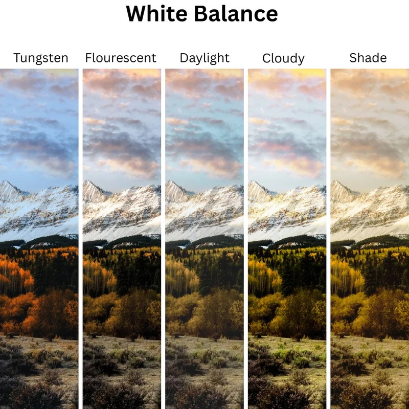frequently-asked-questions - Outdoor Photography White Balance Tips for Accurate Colors