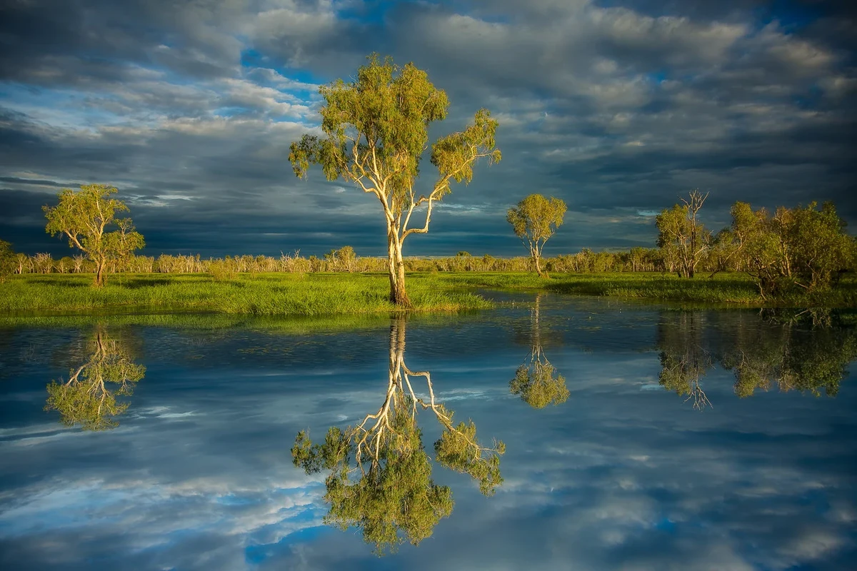 practical-exercises-to-develop-an-eye-for-symmetry - How to Find Symmetry in Nature Photography: A Practical Guide