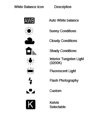 How to Set White Balance for Indoor Lighting Correctly