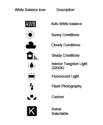 How to Set White Balance for Indoor Lighting Correctly