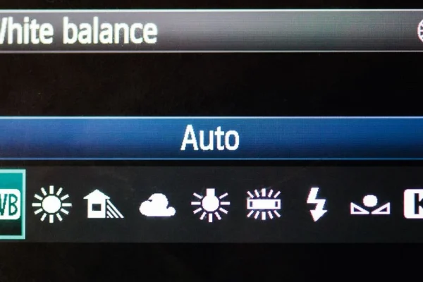 How to Use White Balance Presets on Phones for True Colors