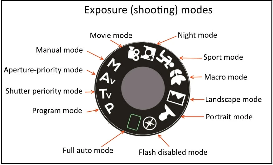 Smartphone Camera Shooting Modes Explained for Better Photos
