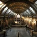 Centered Composition: How to Master Symmetrical Photography