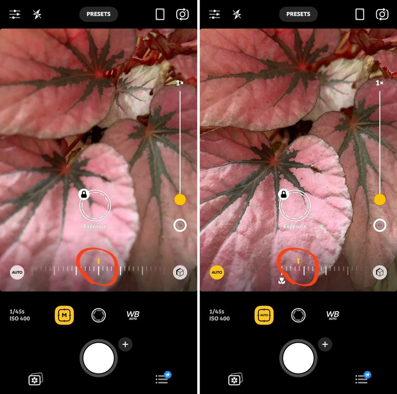 How to Make iPhone Camera Focus: Fix Blurry Photos Fast