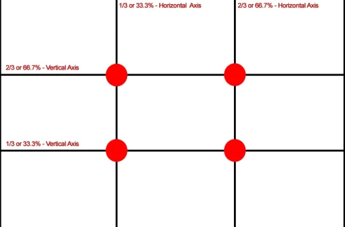 Rule of Thirds Photography: How to Use the Grid Guide