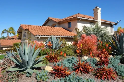 Best Mobile Apps for Desert Landscape Editing in 2026