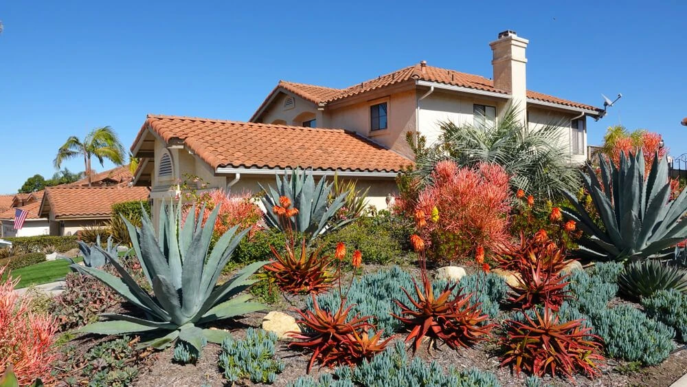 Best Mobile Apps for Desert Landscape Editing in 2026