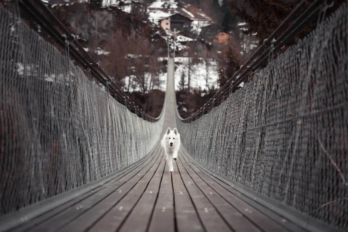 Leading Lines Photography: How to Guide the Viewer's Eye