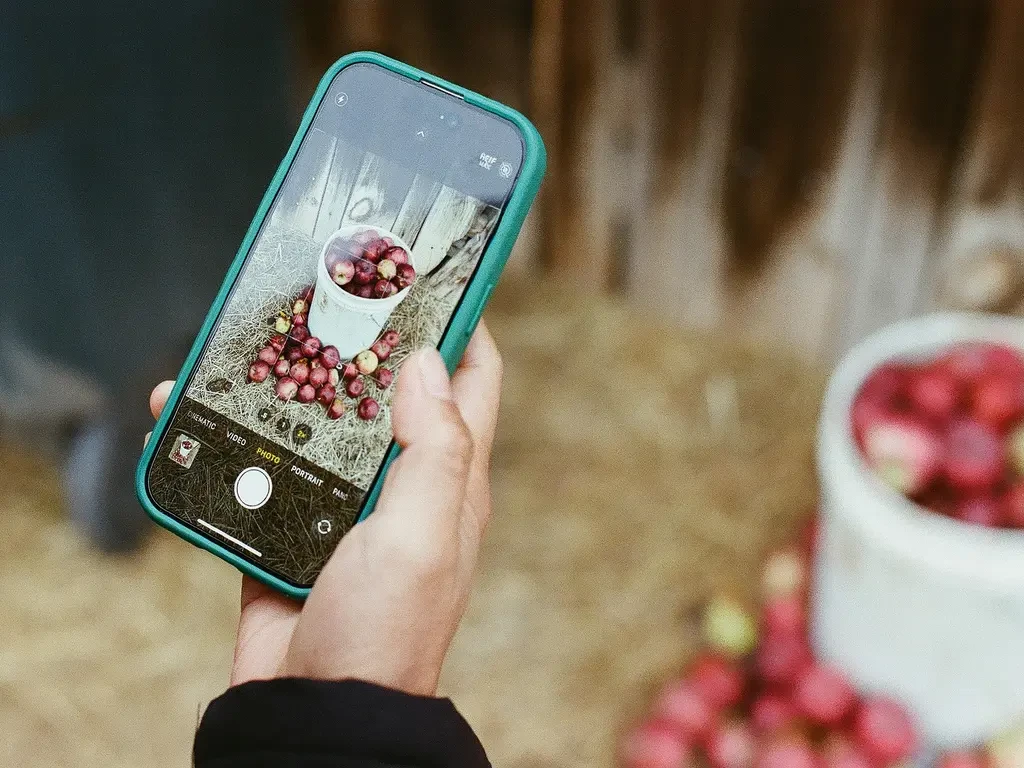 iPhone Photography Tips: Best Accessories for Pro Results