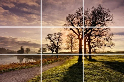 Photography Composition Techniques: Examples and Fixes