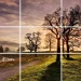 Photography Composition Techniques: Examples and Fixes