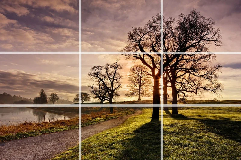 Photography Composition Techniques: Examples and Fixes