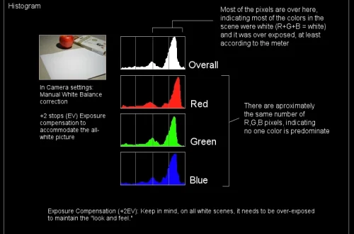 Use Exposure Compensation to Fix White Balance & Color