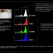 Use Exposure Compensation to Fix White Balance & Color