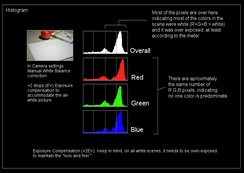 Use Exposure Compensation to Fix White Balance & Color