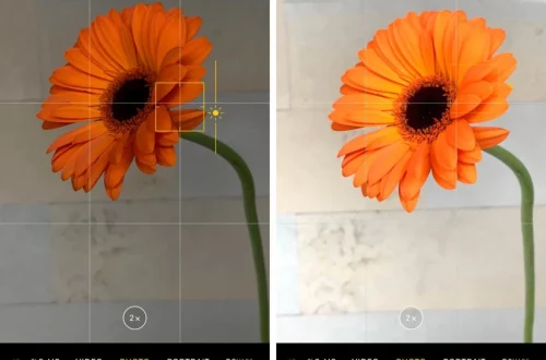 How to Focus iPhone Camera: Tap to Lock Focus and Exposure
