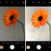 How to Focus iPhone Camera: Tap to Lock Focus and Exposure