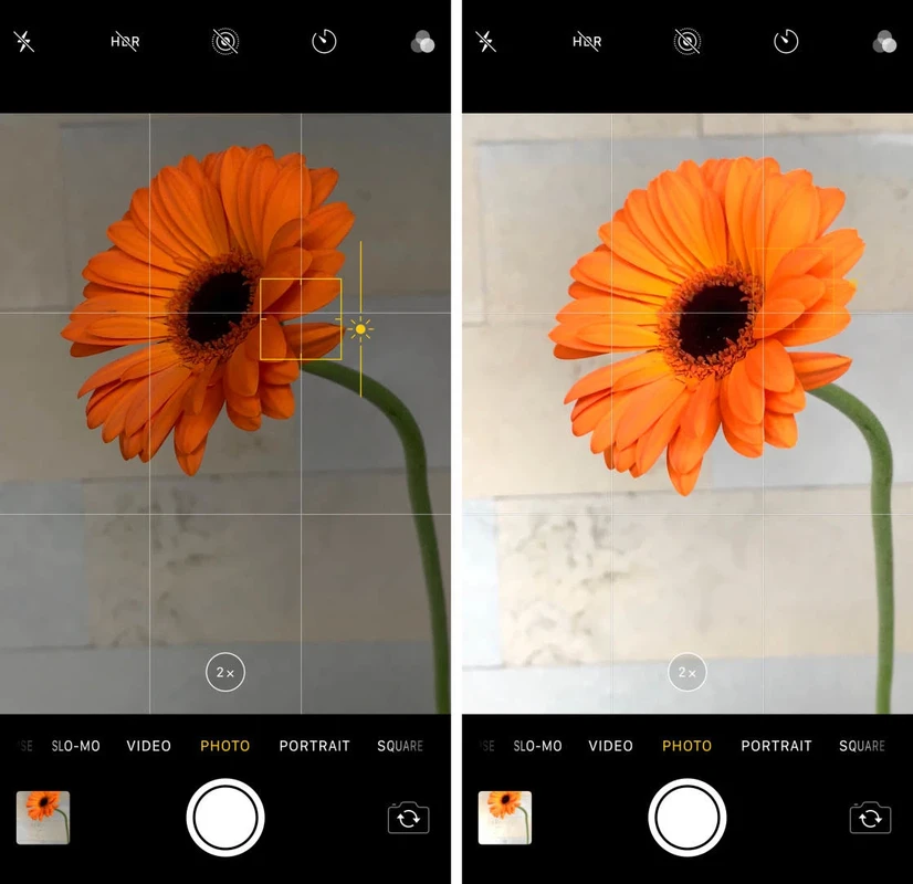 How to Focus iPhone Camera: Tap to Lock Focus and Exposure