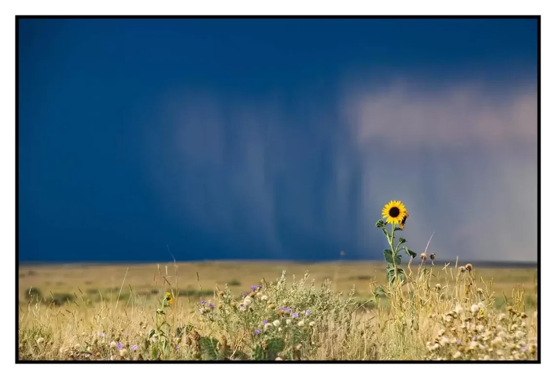 Mastering Rule of Thirds: Avoid Common Composition Mistakes