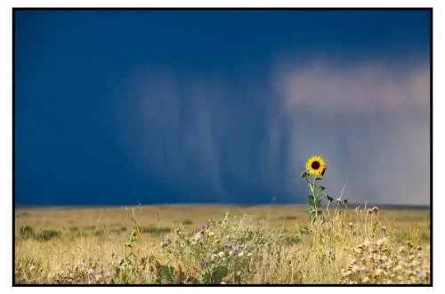 Mastering Rule of Thirds: Avoid Common Composition Mistakes