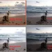 Smartphone HDR vs Manual Exposure: Which is Best for Landscapes?