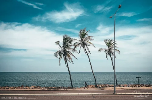 Travel Mobile Photography: Pro Tips for Better Images