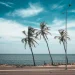 Travel Mobile Photography: Pro Tips for Better Images